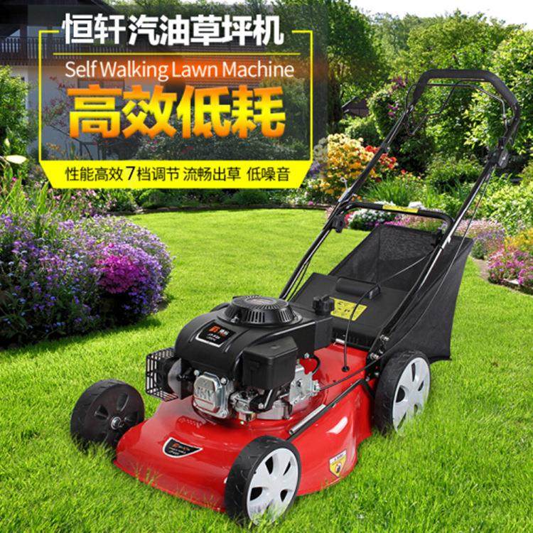 可侧排/草框集草袋手推割草机 草坪修剪造型机器 20寸草坪剪草机,农机/农具/农膜,割灌机/割草机/油锯,淘宝优惠券,粉丝福利购,淘宝优惠卷