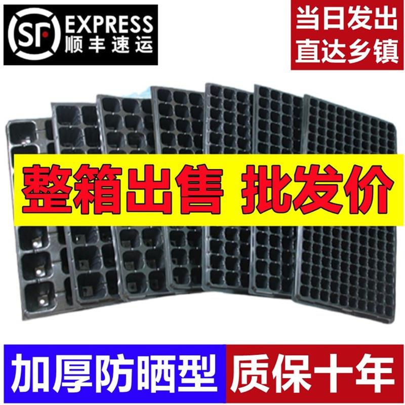 育苗盘穴盘育苗盒育苗盆蔬菜育苗盆塑料育苗器苗木多肉整箱箱