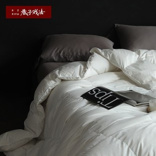 巷子戏法 A类100支全棉被子冬被鹅绒夏被春秋被高密被芯超柔简约