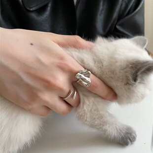 不规则戒指女小众设计纯银2024新款潮高级感冷淡风叠戴组合指环女