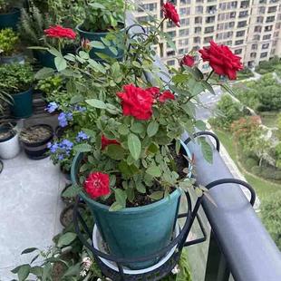 超宽特大号花架阳台栏杆花盆架悬挂铁艺护栏月季绿盆栽家用置物架