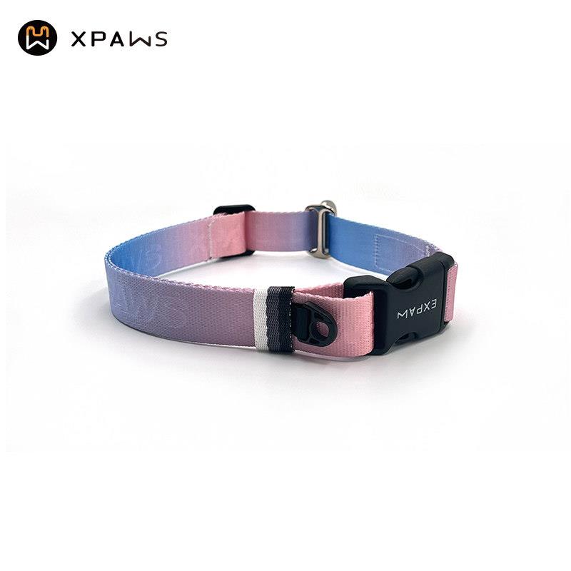 XPAWS 宠物轻型狗项圈不勒脖中型犬狗炼脖圈小狗可挂狗牌网红柴犬