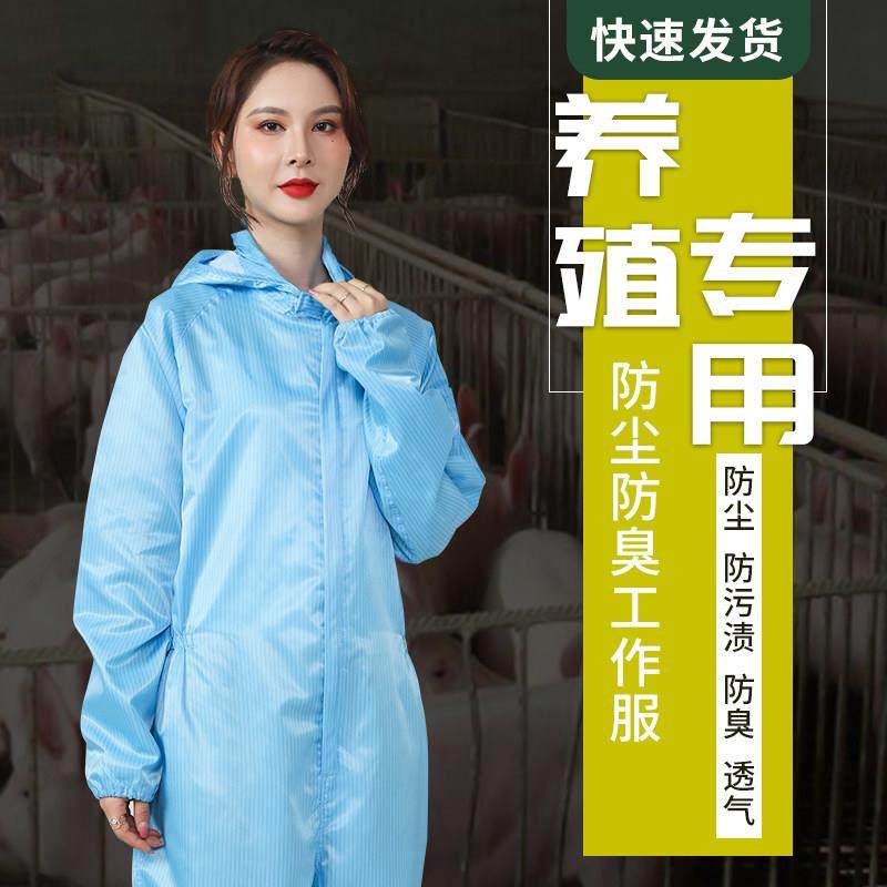养殖场防护衣连身全身洁净服养猪养牛养鸡防污防臭透气防尘工作服,居家日用,防护服,淘宝优惠券,粉丝福利购,淘宝优惠卷