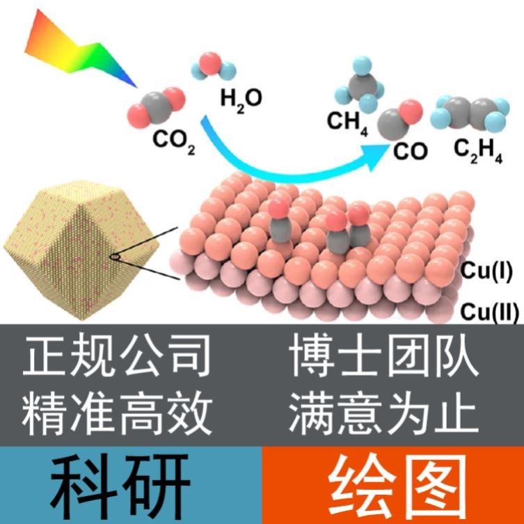 科研绘图SCI期刊封面图设计医学插画示意图摘要TOC机制信号通路图