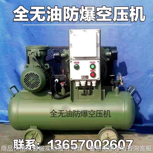 无油防爆空压机防爆等级4和4气泵空气压缩机矿山冷干机