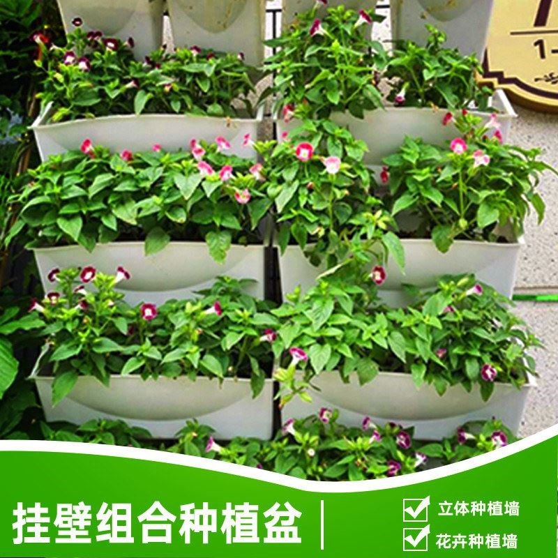 植物墙立体种植盆阳台绿化悬挂式C挂钩吊挂挂墙挂壁花盆蔬菜种菜