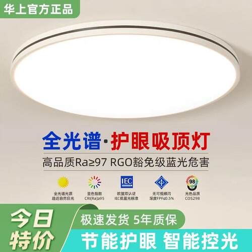 2025年新款LED吸顶灯房间卧室灯客厅灯大厅现代简约大气中山灯具6