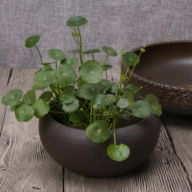 紫砂水盂茶洗碗杯水浴渣方渣斗水方 杂物桶烟灰缸手工粗陶花器