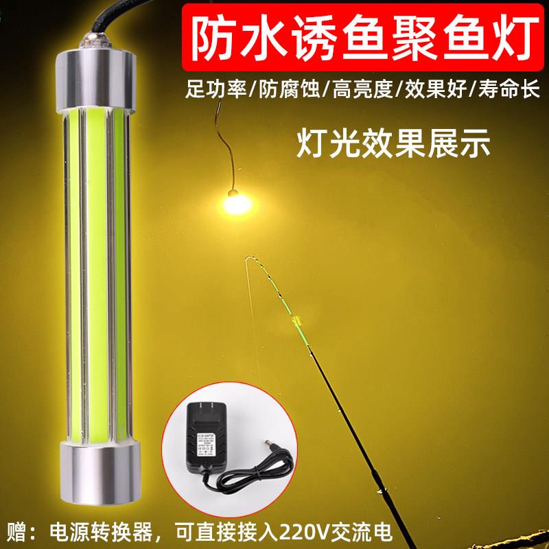 千渔筏水下诱鱼灯防水强光12V大功率100W黄白绿光夜钓翘嘴鲢鳙灯
