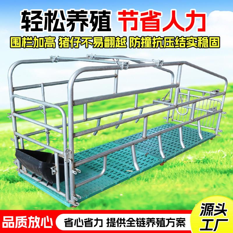 落地式母猪产床产保两用带漏粪板简易加厚围栏单体产保一体定位栏