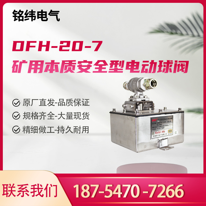 天津华宁DFH-20-7矿用本质安全型电动球阀本安型电动阀门