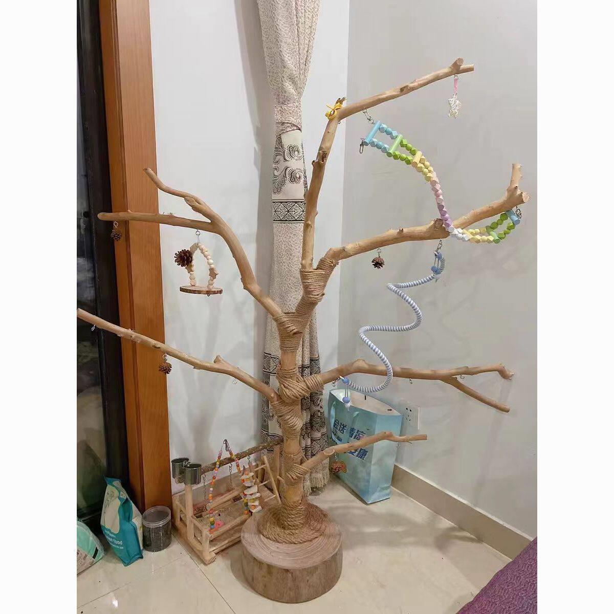 鸟站架天然树枝树杆鹦鹉站架树干原木站杆树杈秋千鸟笼实木灯架