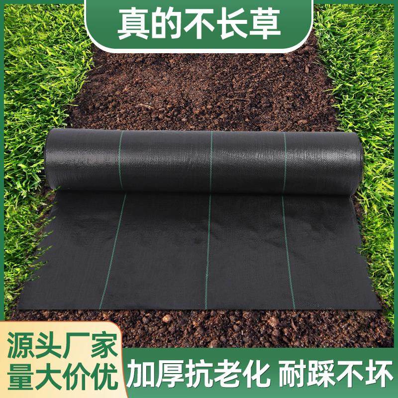 加厚防草布除草布耐用果园果树除草地膜新型生态地布地钉厂家直销,农机/农具/农膜,农用防草地布/除草布,淘宝优惠券,粉丝福利购,淘宝优惠卷