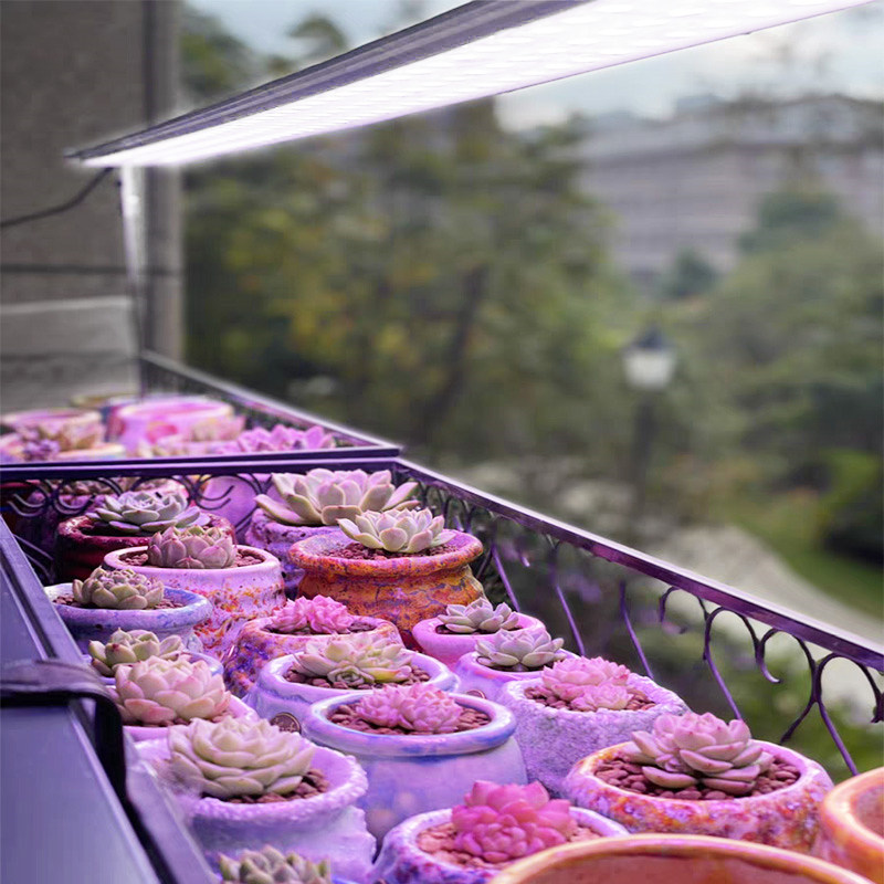 多肉补光灯led植物生长灯家用全光谱上色防徒仿太阳光照桌面灯管,家装灯饰光源,植物生长灯,淘宝优惠券,粉丝福利购,淘宝优惠卷