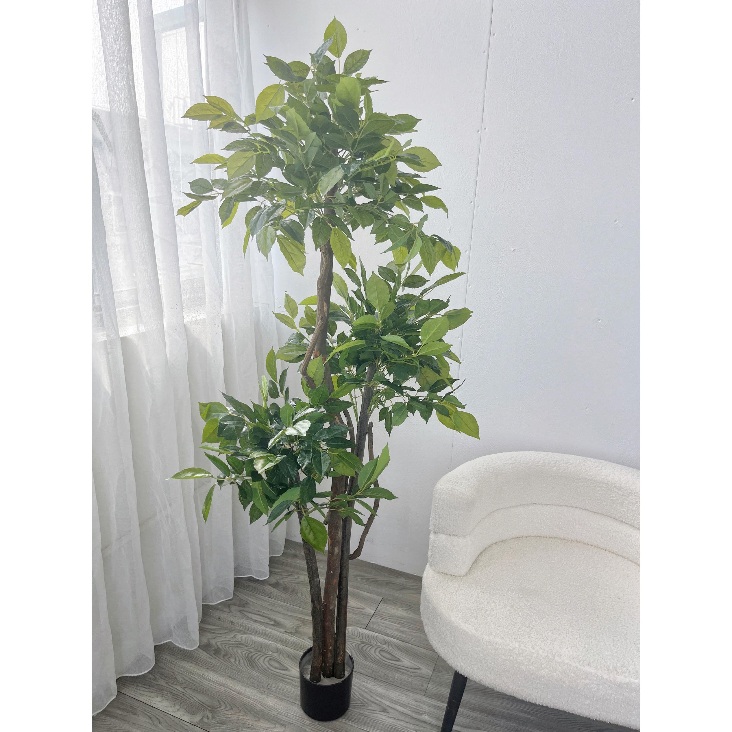 仿真植物1米6三杆幸福树发财树落地盆栽盆景观赏小叶树橱窗客厅