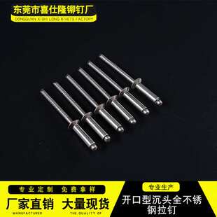 厂家现货开口型沉头全不锈钢拉钉 拉铆钉 圆头拉钉 抽芯铆钉