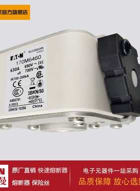 熔断器170M5468 170M6458 170M6459 170M6460 170M6461 170M6462