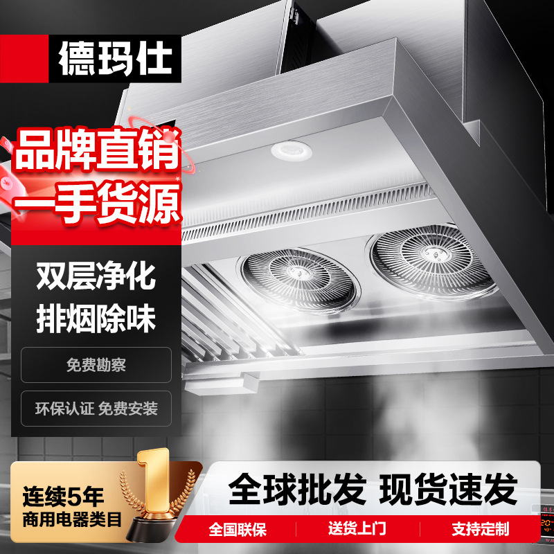 德玛仕商用抽油烟机厨房油烟排烟净化机大吸力不锈钢吸油烟净化器