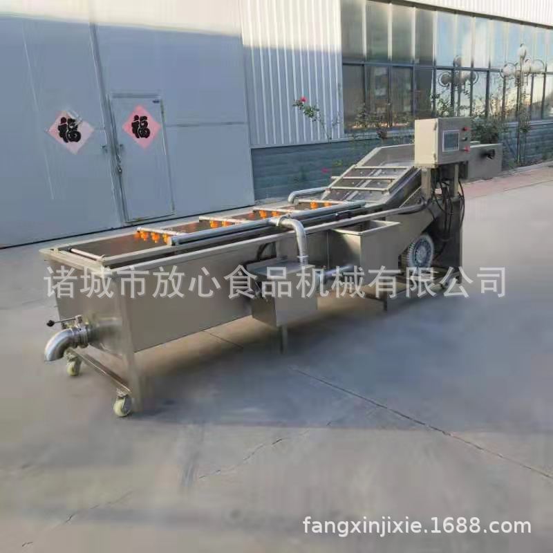 全自动鱼类海鲜超声波清洗机 喷淋清洗流水线设备 大连洗鱼机定制