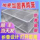 家用折叠鸡笼子加密铁丝网饲养笼鸽子笼鸡鸭鹅防黄鼠狼专用养殖笼