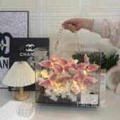 蝴蝶有钱花束材料压克力礼盒diy送父母男女朋友生日节日毕业礼物