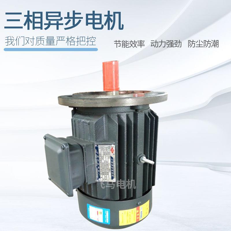 自产自销Y2YE2YE3YE4-112M-4 4KW 4极4千瓦三相异步电动机