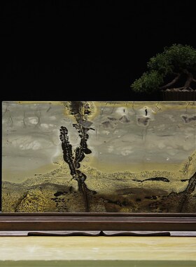 广西国画石天然奇石观赏石草花石摆件客厅长方形工艺品V装饰品tx4