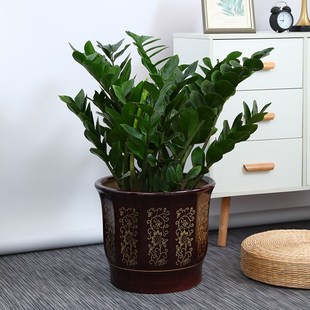 陶瓷花盆家用客厅中式花t盘种金钱树幸福树发财树花盆专用花瓶绿