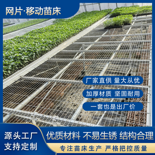 移动网片苗床热浸镀锌苗床温室育苗床蔬菜花卉种植苗床无土栽培