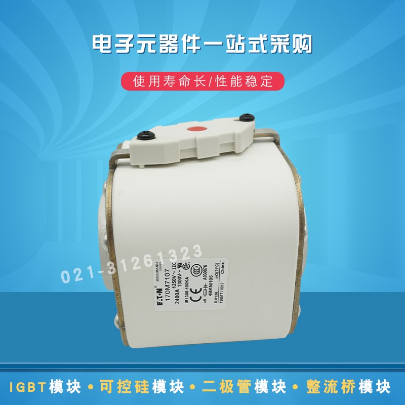 快速熔断器c保险丝170M7106 7107 7115 7118 71197120 7121 7122
