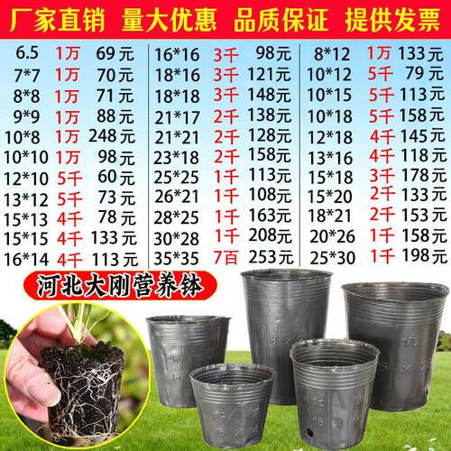 营养钵营养杯育苗杯塑料花盆加厚一次性树苗杯防老化育苗盆育苗袋