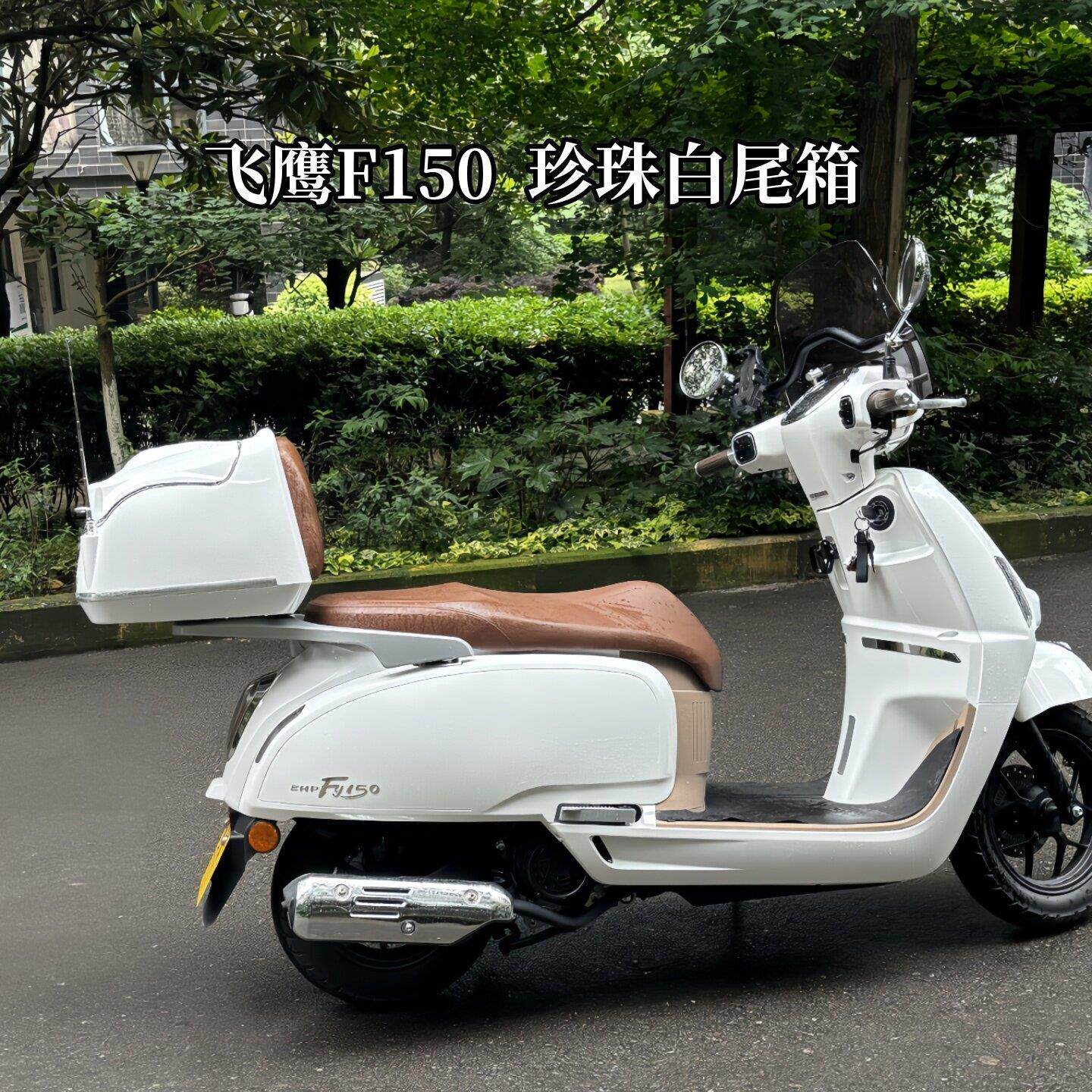 飞鹰150F机车尾箱 电动车大号复古后备箱 滑板车后侧箱