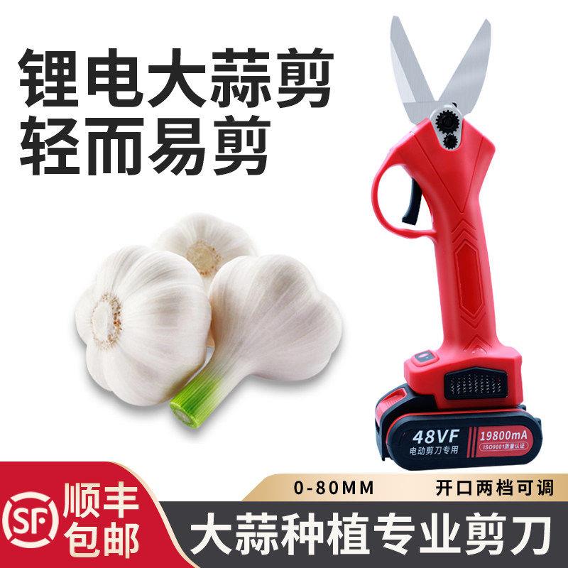 电动大蒜剪专用锂电充电式无线无刷剪刀大蒜产地高效率秒切蒜杆