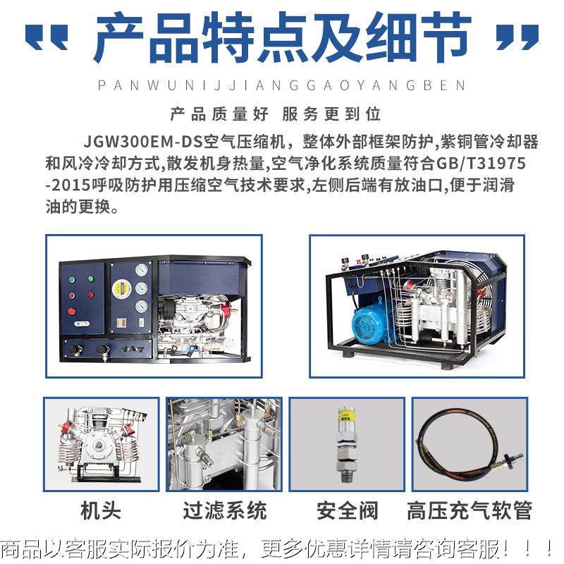 0JG压WJGW300/E30/EM-DS潜水缩自动启停消防空气机填充泵自动排污