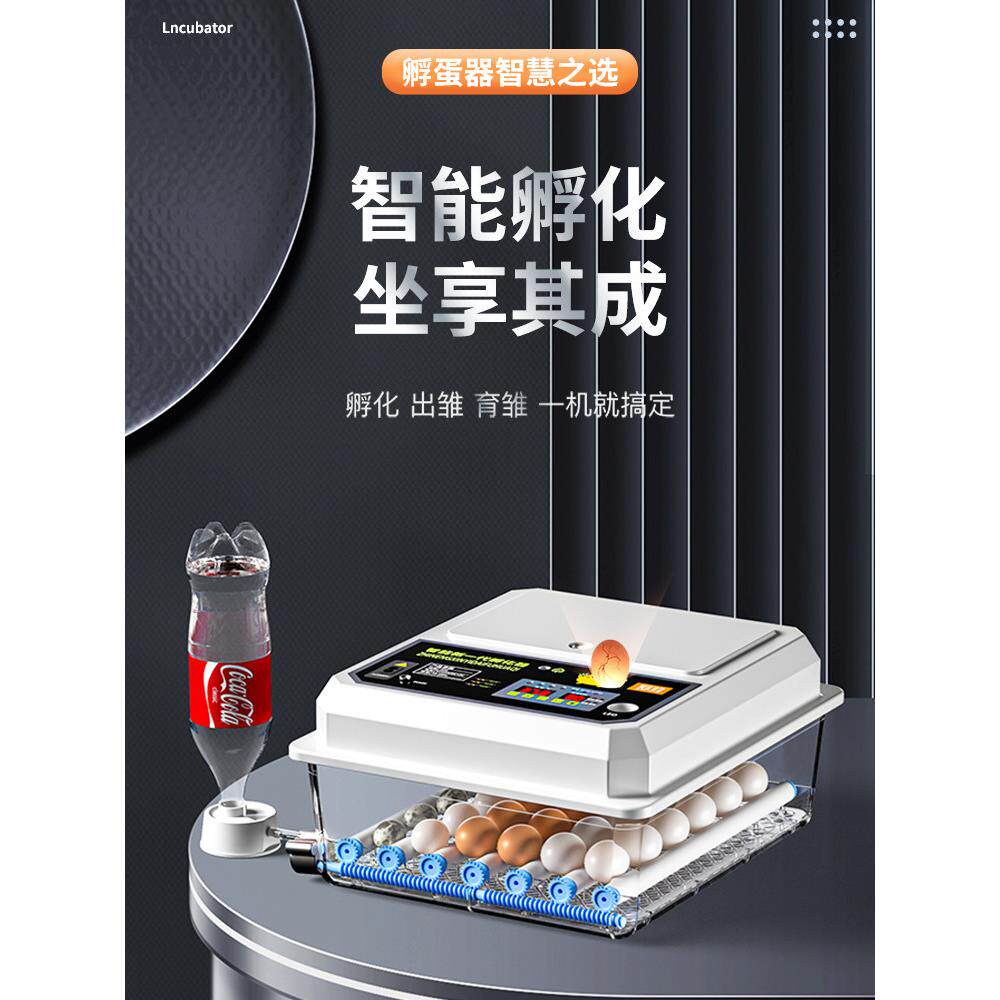 孵化器小型家用孵蛋机全自动智能孵化机芦丁鸡鸭鹅鸽孵蛋器孵化箱
