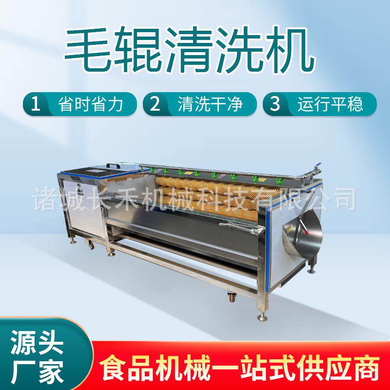 中药材清洗机果蔬根茎类毛辊去皮清洗机贝壳牡蛎海鲜清洗机