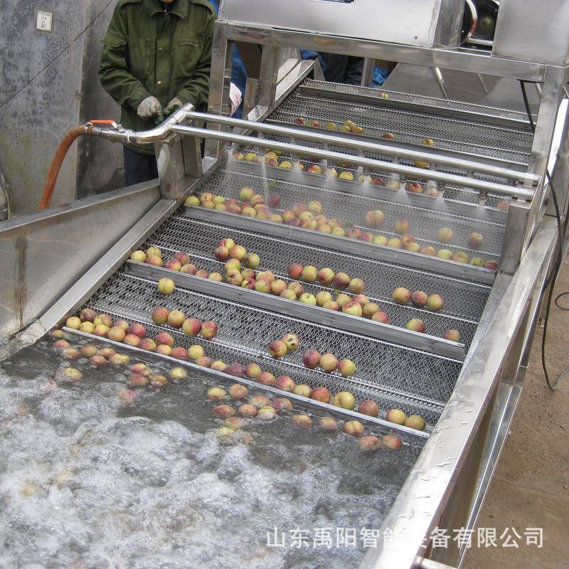 厂家供应苹果气泡清洗机大姜高压气泡清洗设备诸城清洗风干厂家