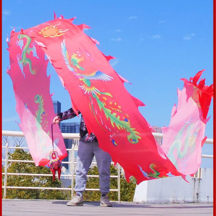 舞龙彩带广场中老年健身甩彩带成人初学耍龙头舞龙道具绸缎龙飘带