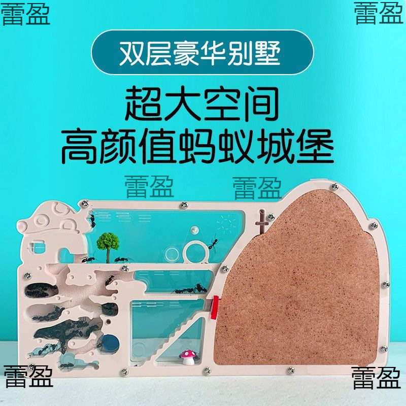 蚂蚁城堡箱小学版箱工坊巢穴饲养王国弓背蚁巢宠物扩展沙巢