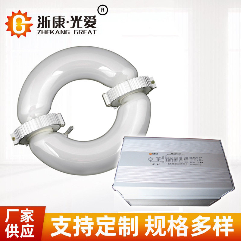 源头直供浙康光爱低频无极灯150W200W300W环形矩形光源灯管镇流器