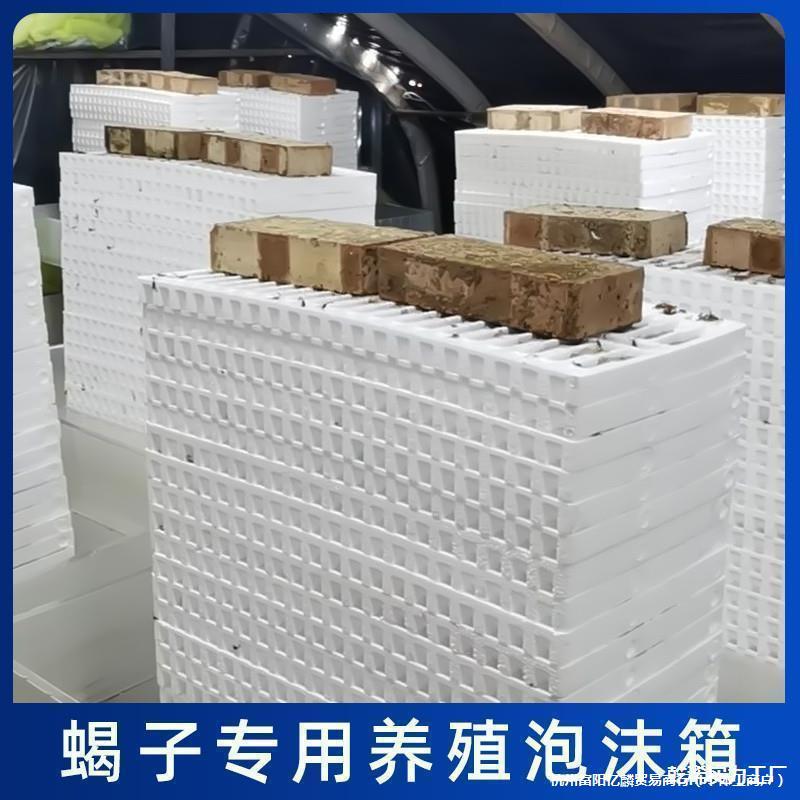 泡沫龄工具四苗蝎子养殖繁殖皮蝎群退二多功能养殖龄功能盒蝎脱三