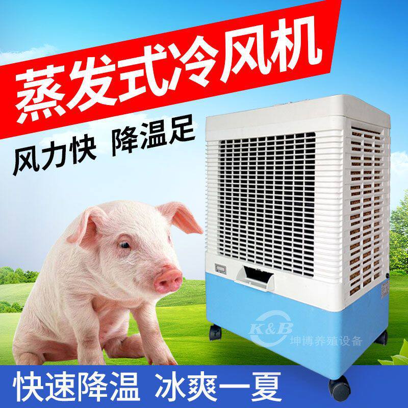 蒸发式冷风机工业移动空调扇 养殖场制冷风扇 办公室水冷气机单机
