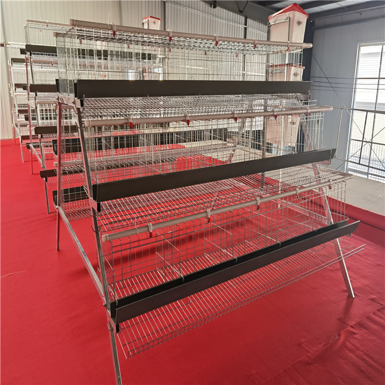 蛋鸡笼阶梯式方管支架蛋鸡场养鸡立式产蛋养殖场鸡笼子机械鸡用