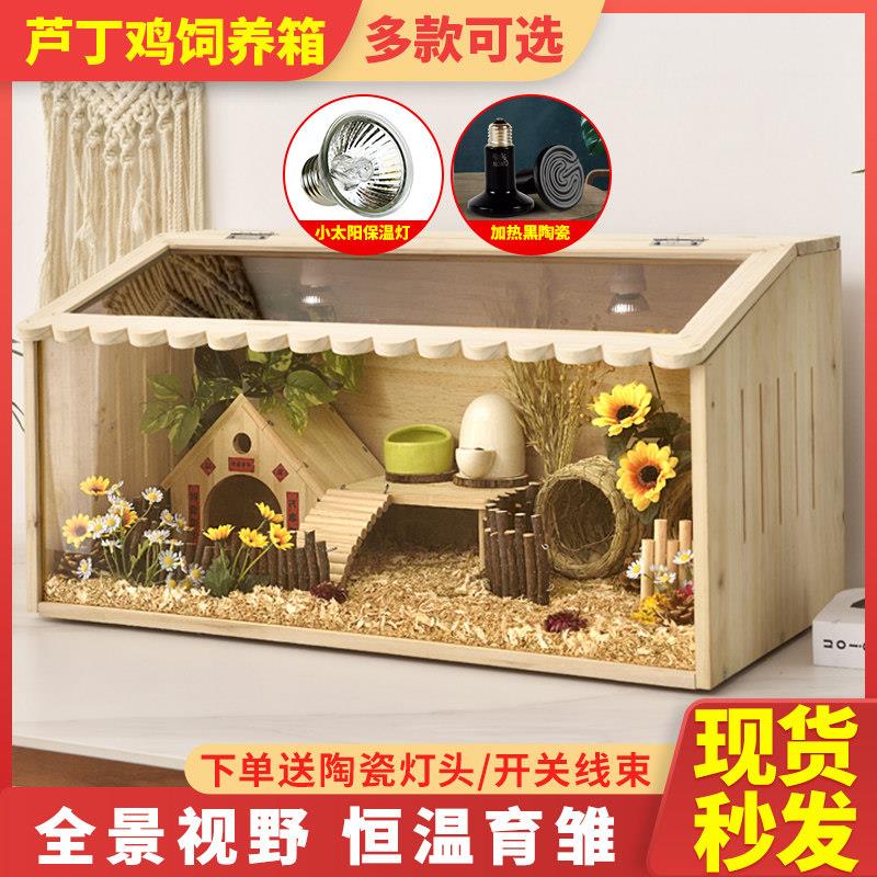 芦丁鸡饲养箱 高颜值造景鸡笼 恒温育雏鸡箱 可叠放式小鸡