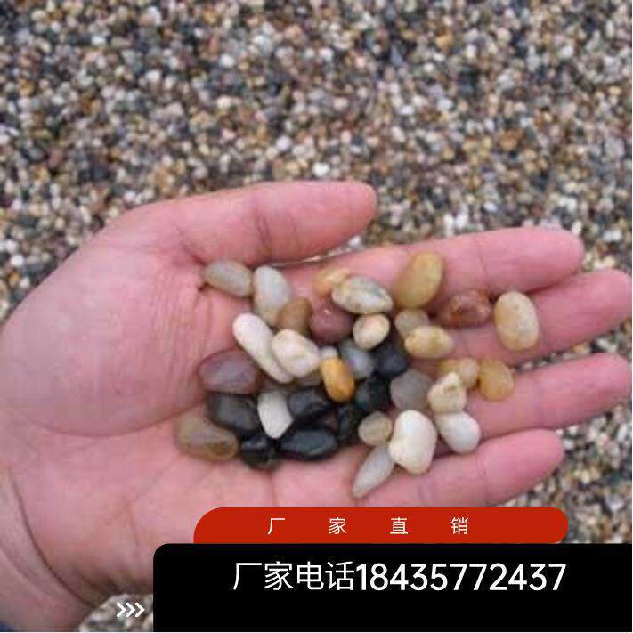 贵州天然鹅卵石沼泽过滤石头地暖找平回填专用豆石水洗滤料水处理