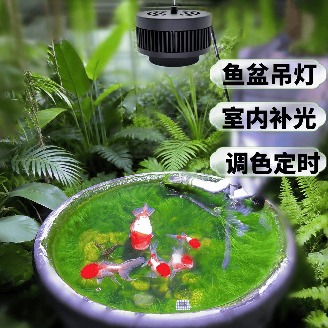 LED鱼缸落地支架调色定时吊灯挂灯金鱼圆缸专用爆藻灯瓦缸土缸