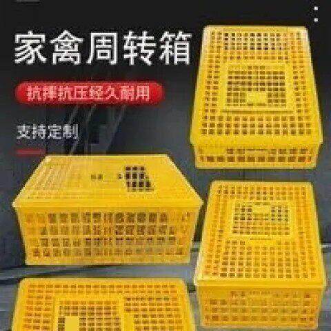 家禽运输筐,周转筐塑料筐,鸡筐,鸡笼,兔笼,笼周转箱鸽子兔子鸭筐