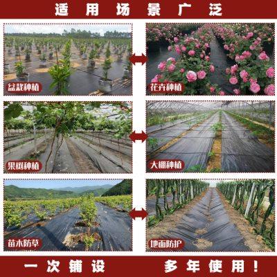 防草布除草布抗老化果园果树遮草盖草布农用园艺地布耐用透气保湿