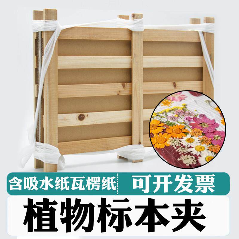 松木植物标本夹花卉树叶标签压花吸水纸瓦楞纸实验器材教学仪器