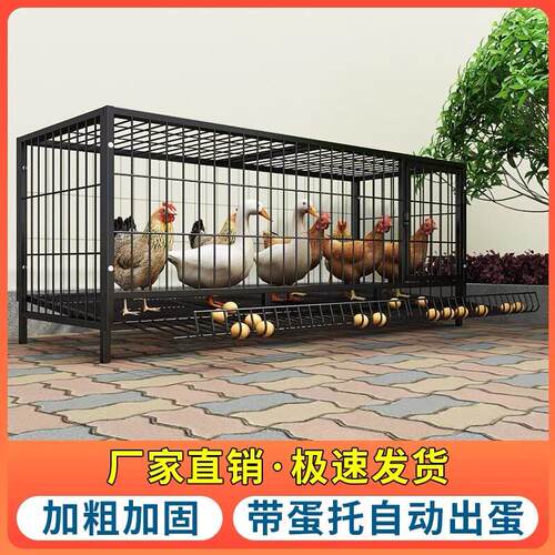 鸡笼子家用大号兔笼养殖鸭鹅鸽笼室外铁丝网不锈钢猫自动滚蛋鸡笼